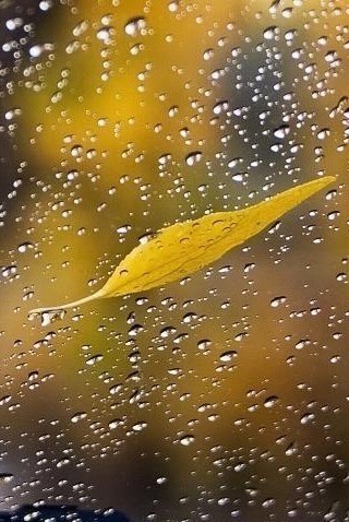    - 9  2025  20:16 - 4