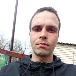 , 29, 