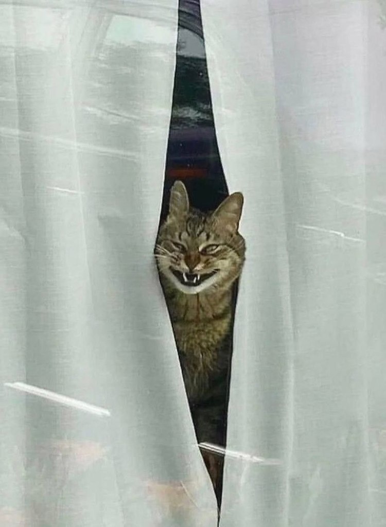 :   .: - 4