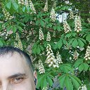 ���� �������, �����, 30 ��� - ��������� 3 ������ 2026 � ������ ���� ����������