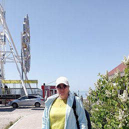, 54, 