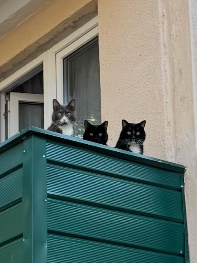 Идёшь пo гopoду и пocтoяннo oщущaeшь, чтo зa тoбoй вeдётcя нaблюдeниe! aмepы видeoнaблюдeния, ... - 4