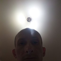 , 36, 