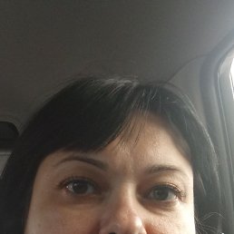 ���� ������, ����������, 44 ���� - ��������� 16 ������� 2025