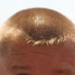 , 45, 