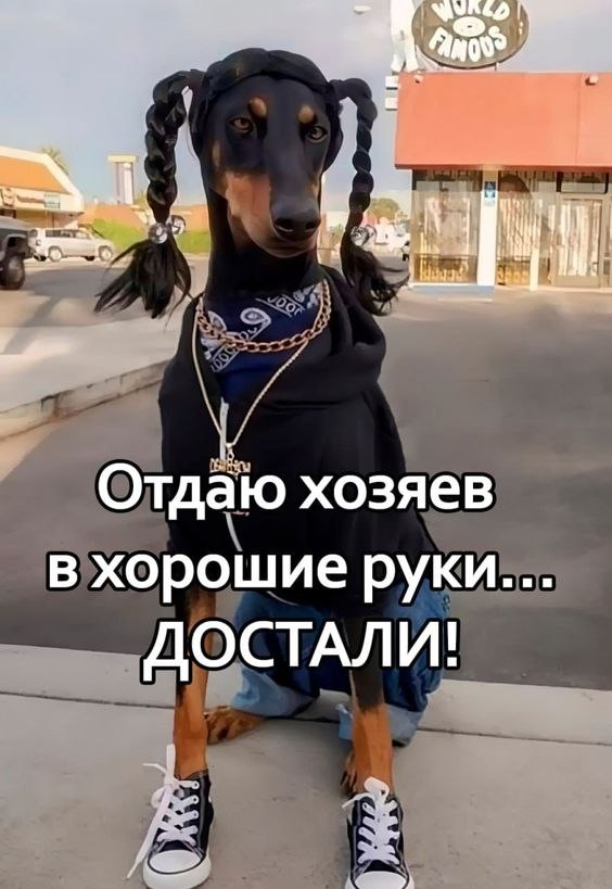 ₪╬═►  ||  ||  ◄═╬₪ - 11  2024  07:56