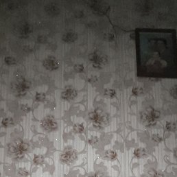 , , 55 