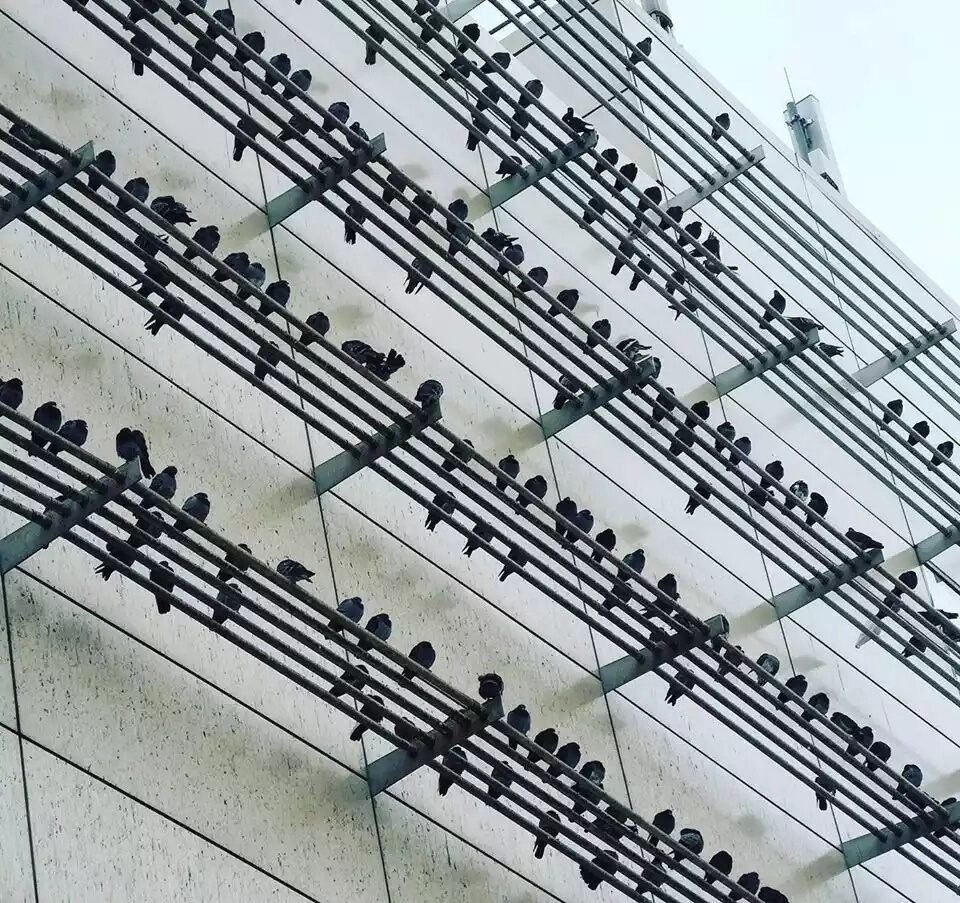  ...)