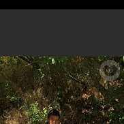 , 45 , 