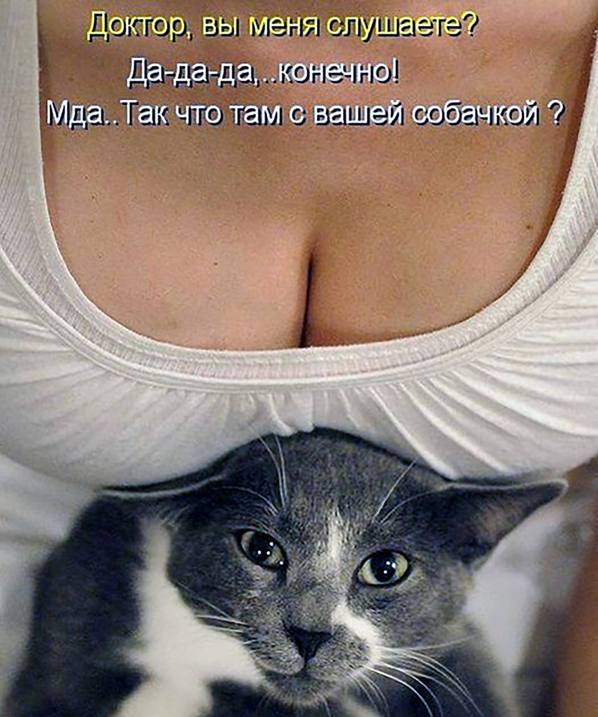 ОБО ВСЕМ - 17 августа 2025 в 14:07