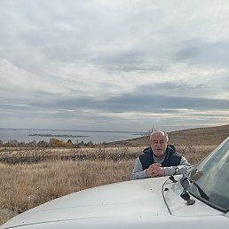 �������, ���, 65 ���