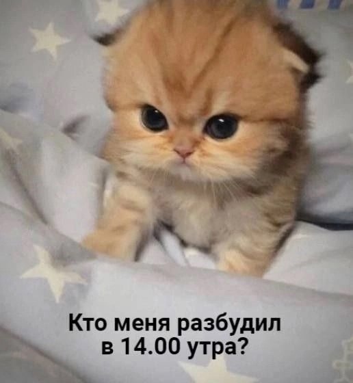   - 12  2025  10:07