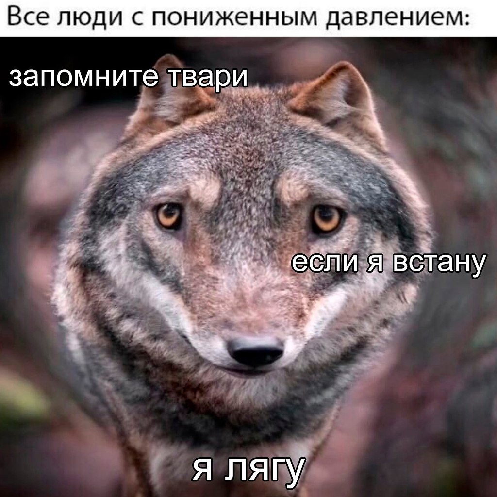  - 12  2025  15:32