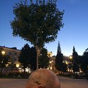 ���� Zazelino, �����, 66 ��� - ��������� 8 ������� 2025 � ������ ���� ����������