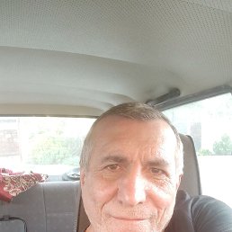 , 56, 