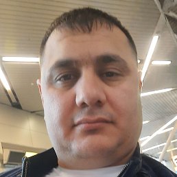 �����, ������, 37 ���