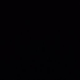 ���� Xxx, ������, 29 ��� - ��������� 4 ����� 2024