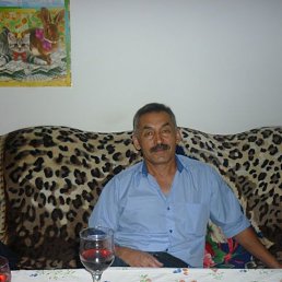 , 58, 