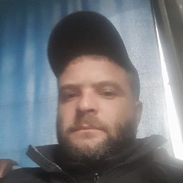  , 40, 