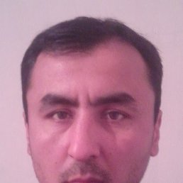 , 41, 