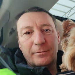 �������, ������, 46 ���