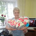 ���� ��������� ������, ���� - ��������� 27 ���� 2026 � ������ ���� ����������