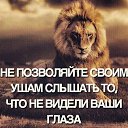 ���� ����, ��������-��-������, 50 ��� - ��������� 15 �������� 2025 � ������ ���� ����������