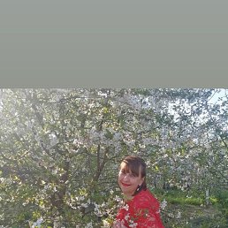 ���� �����, ����, 47 ��� - ��������� 27 ������ 2024