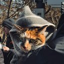 ���� �����, ��������� - ��������� 3 ������ 2025 � ������ ���� ����������