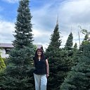 ���� �������, �������, 48 ��� - ��������� 17 ������ 2026 � ������ ���� ����������