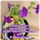 ���� �����, �����-���������, 63 ���� - ��������� 10 ���� 2024 � ������ ���� ����������