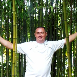 ����, 42 ����, ������