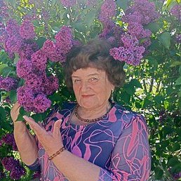 ����, ���������