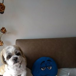 Alex, ����, 32 ����