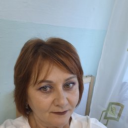 , 54, 
