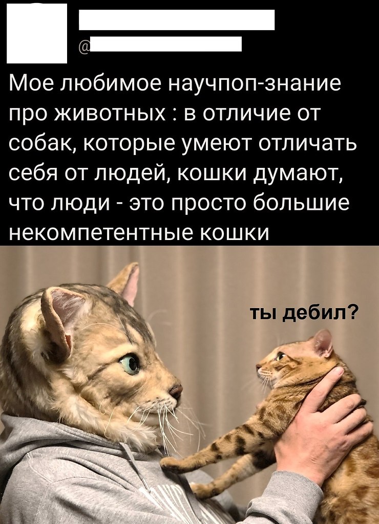  - 17  2025  14:14