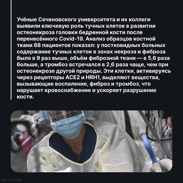  |  |   5 - 19  2025  15:11 - 2