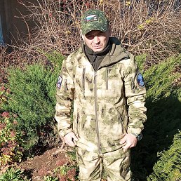 ������, �����������, 41 ���