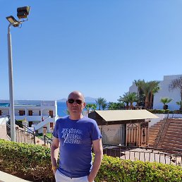 �����, �������, 55 ���