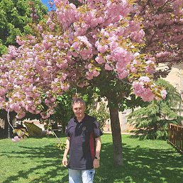 Ivelin, �������, 47 ���
