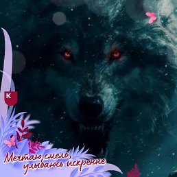 ���� �������, ������-��-����, 39 ��� - ��������� 26 ������ 2026