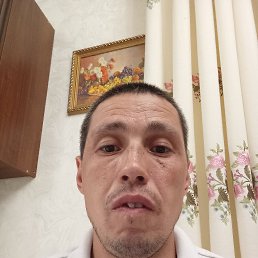 , 44, 