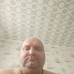 , 44, 