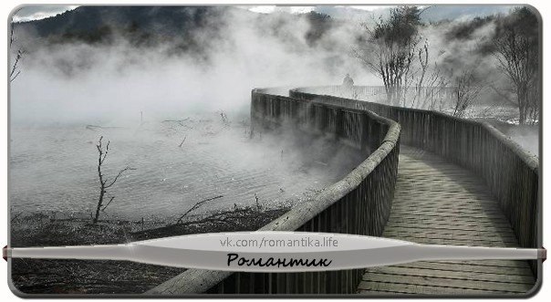 Самое непростое в жизни — понять, какой мост следует перейти, а какой сжечь. © Эрих Мария Ремарк