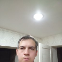 , 29, 