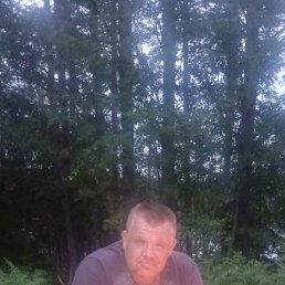 , 44, 