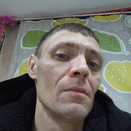 ������, �����-���������, 41 ���