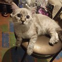 ���� �������, ������ - ��������� 20 ����� 2026 � ������ ���� ����������