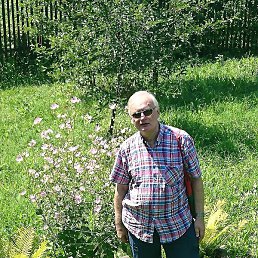 ���������, �����-���������, 72 ����