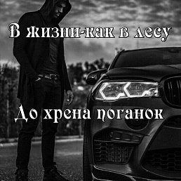 ���� ������ �������, �����������, 43 ���� - ��������� 11 ���� 2024